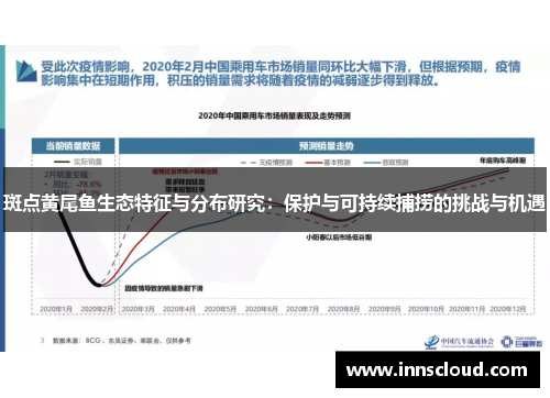 斑点黄尾鱼生态特征与分布研究：保护与可持续捕捞的挑战与机遇